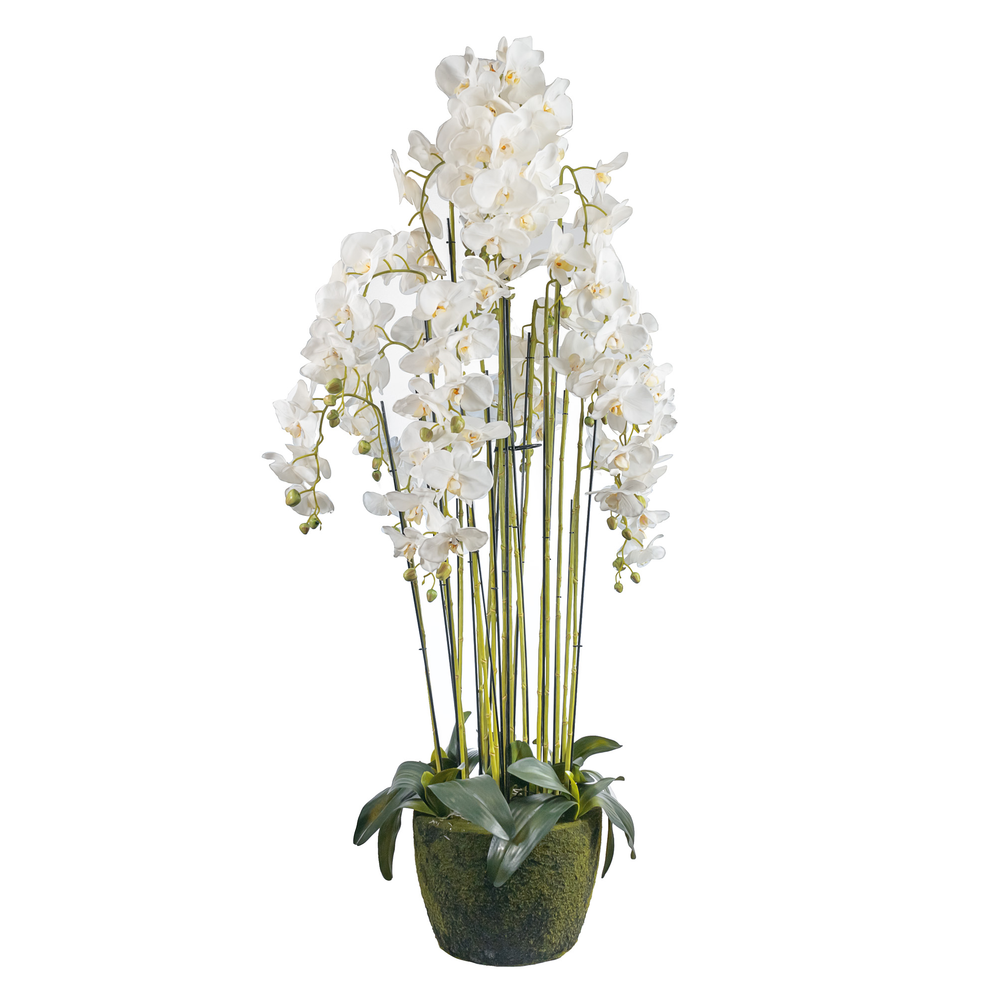 Artificial silicone orchid in pot, 12 stems